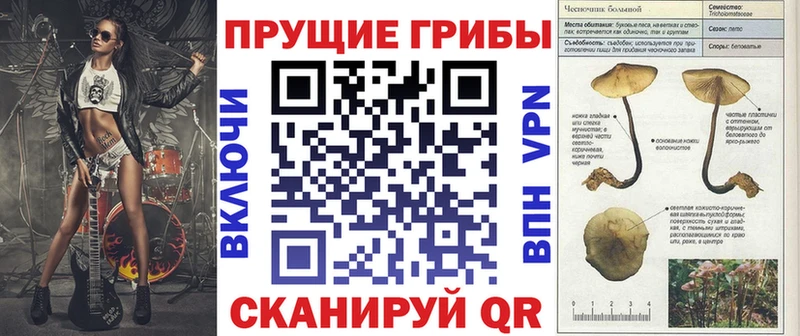 MEGA зеркало  сколько стоит  Кирс  Псилоцибиновые грибы ЛСД 